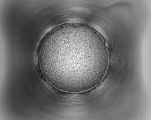 X0000093431067200710261015