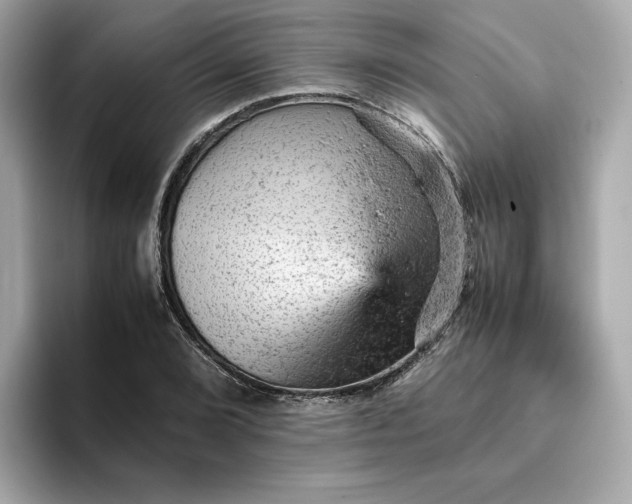 X0000093431072200710261015