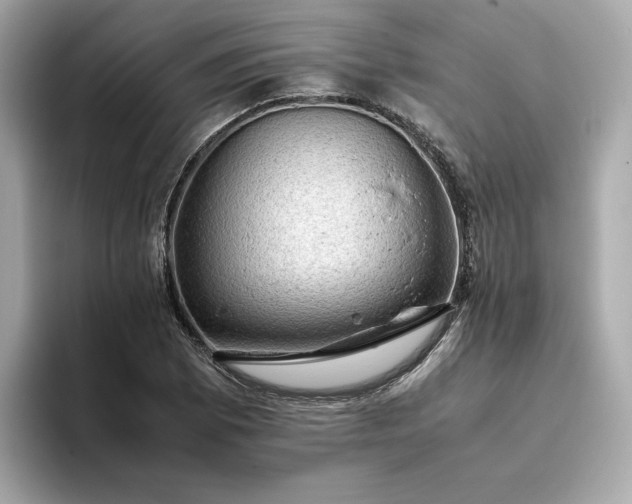 X0000093431073200710261015