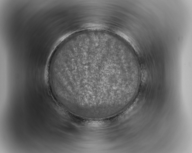 X0000093431074200710261015