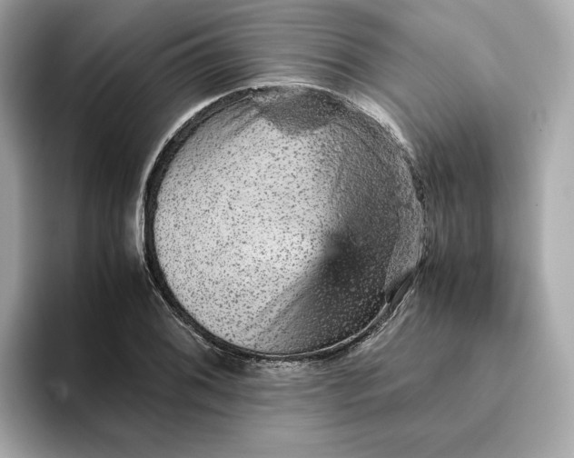 X0000093431076200710261015