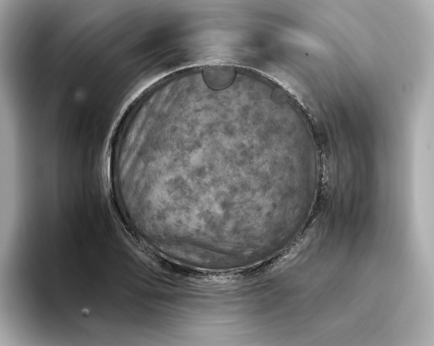 X0000093431078200710261015