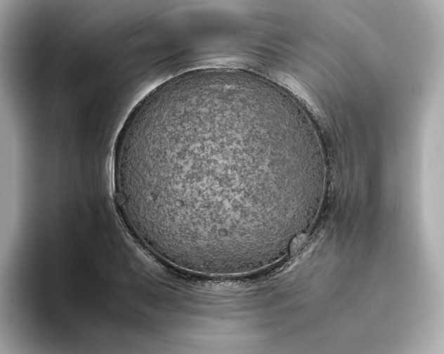 X0000093431079200710261015