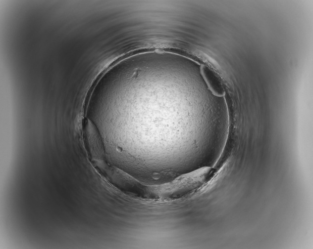 X0000093431081200710261015