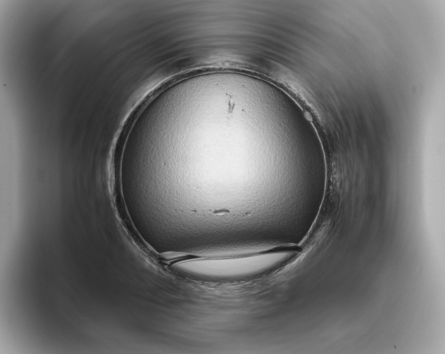 X0000093431082200710261015