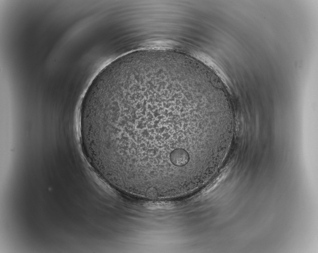 X0000093431083200710261014