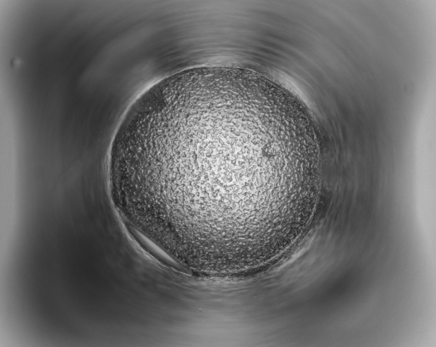 X0000093431087200710261014