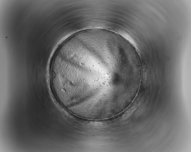 X0000093431088200710261014