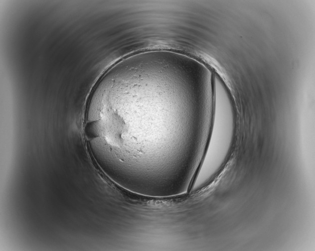 X0000093431089200710261014