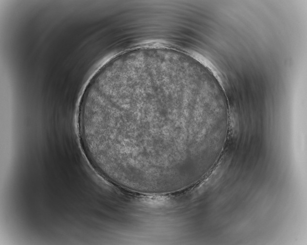 X0000093431090200710261014