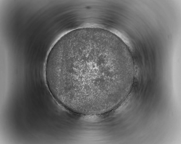 X0000093431094200710261014