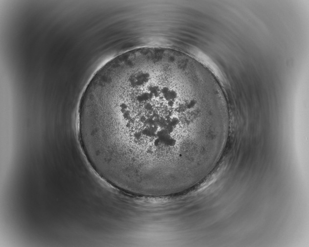 X0000093431095200710261014