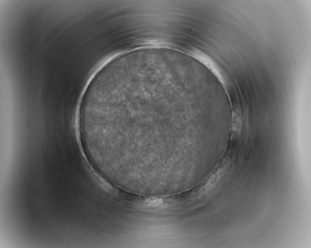 X0000093431098200710261014