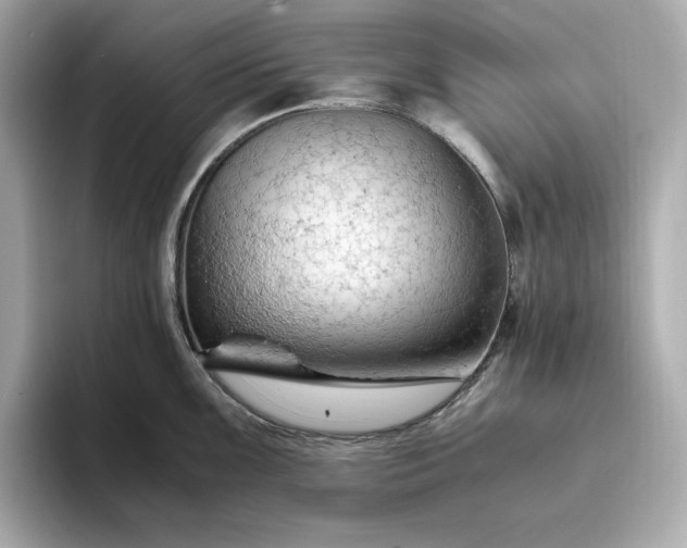 X0000093431099200710261014