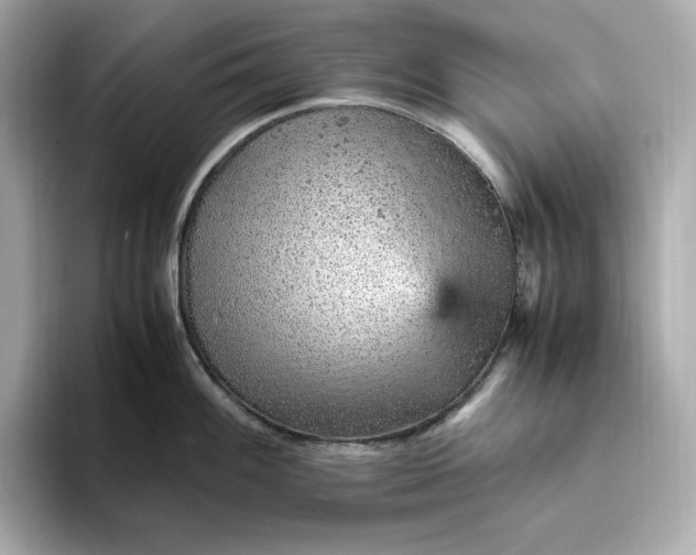 X0000093431100200710261014