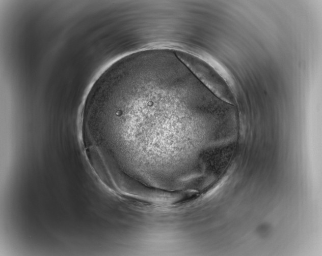 X0000093431102200710261014