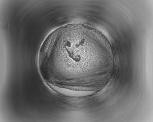 X0000093431103200710261014