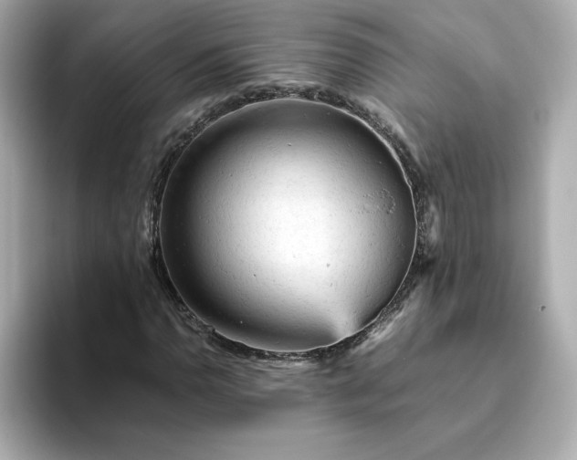 X0000093431110200710261014