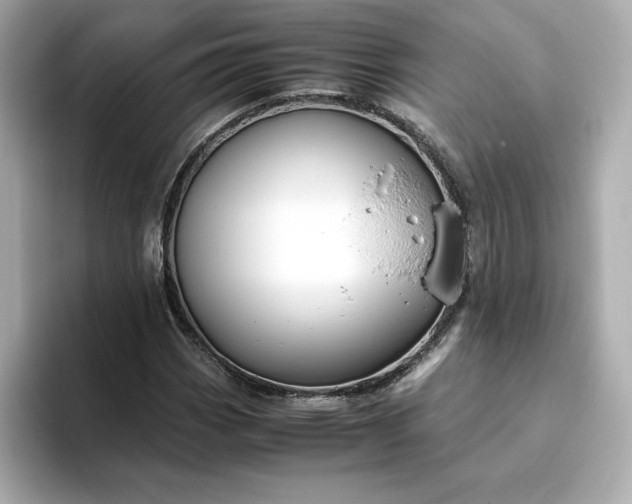 X0000093431113200710261014