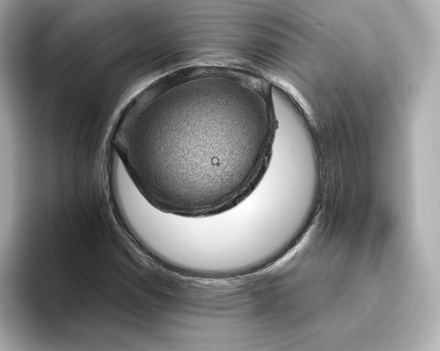 X0000093431114200710261014