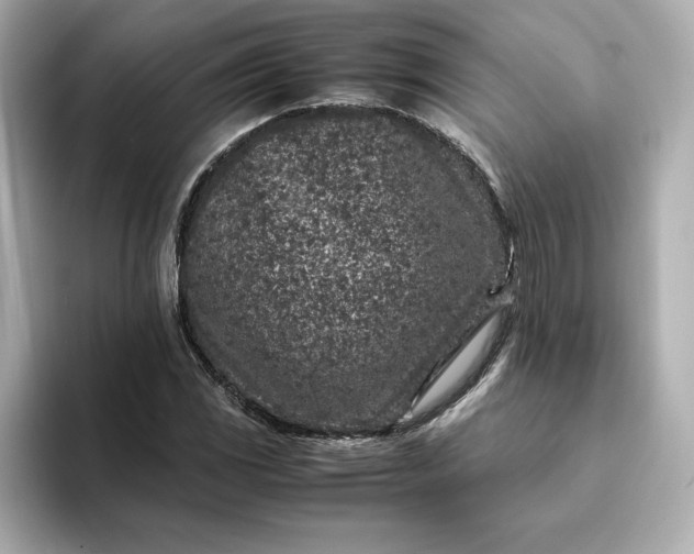 X0000093431117200710261014