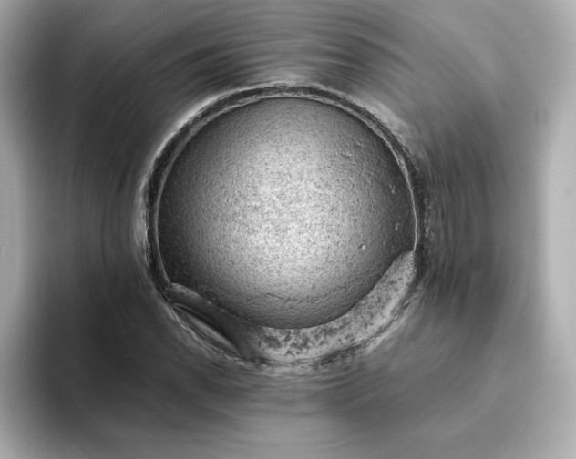 X0000093431118200710261014