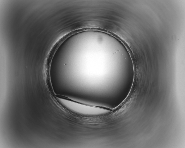 X0000093431119200710261014