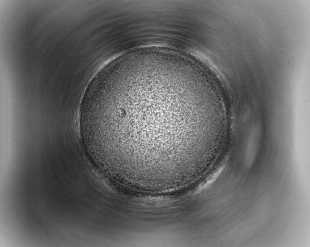 X0000093431121200710261014