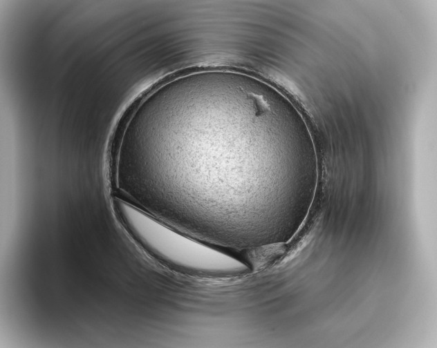 X0000093431122200710261014