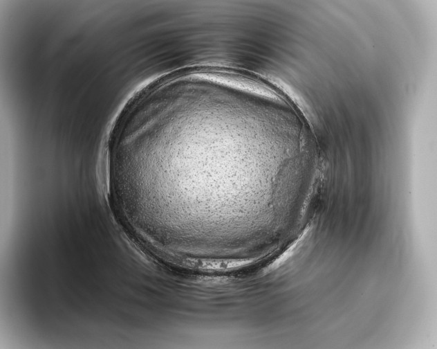 X0000093431123200710261014