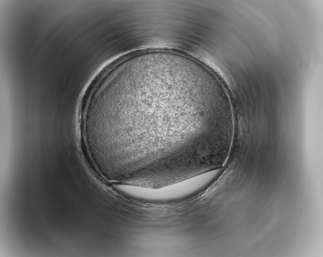 X0000093431124200710261014