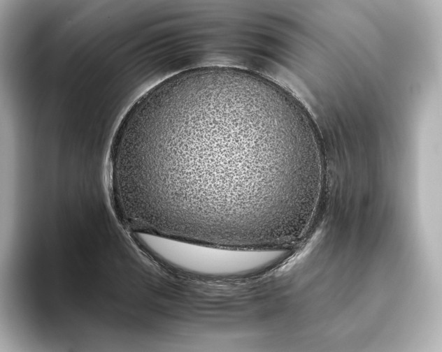 X0000093431125200710261014