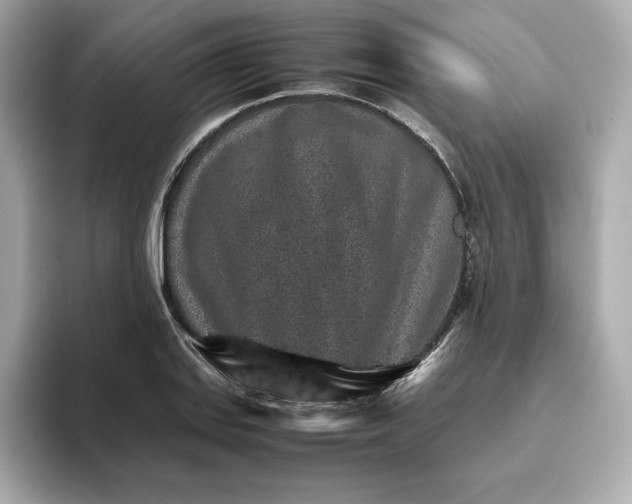 X0000093431127200710261014