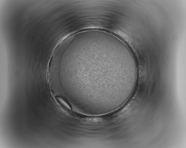 X0000093431129200710261014