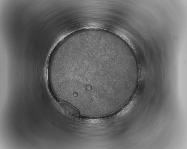 X0000093431130200710261014