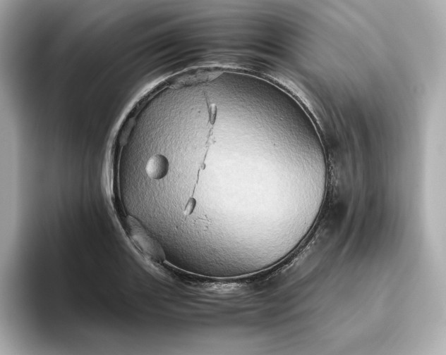 X0000093431131200710261014