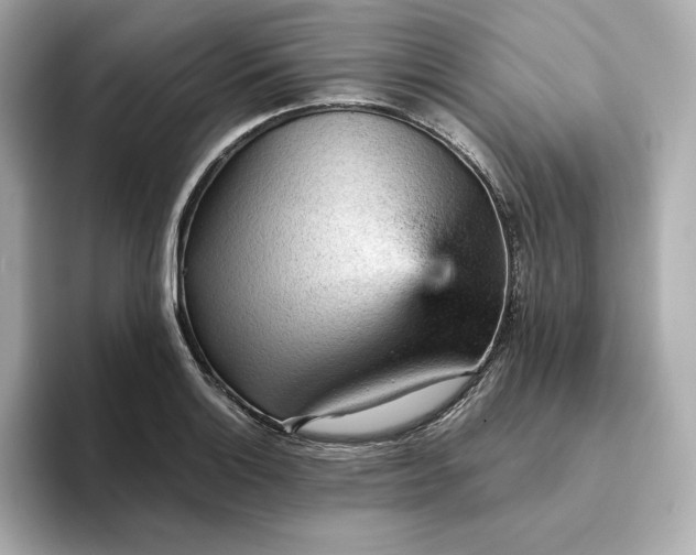 X0000093431132200710261014