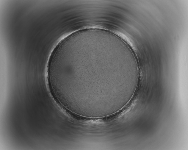 X0000093431133200710261014