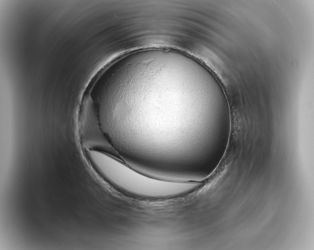 X0000093431134200710261014