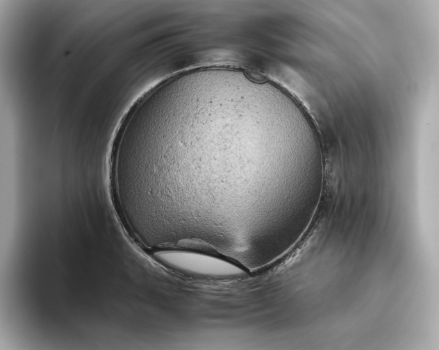 X0000093431135200710261014