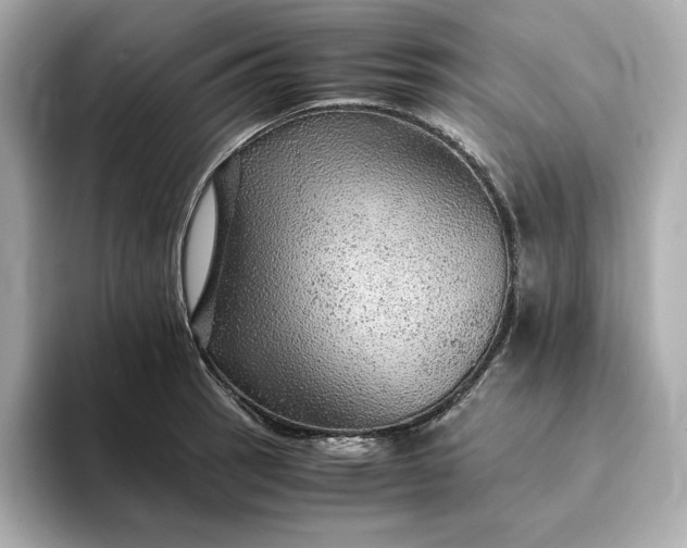 X0000093431137200710261014