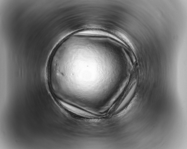 X0000093431141200710261014