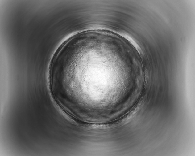 X0000093431142200710261014