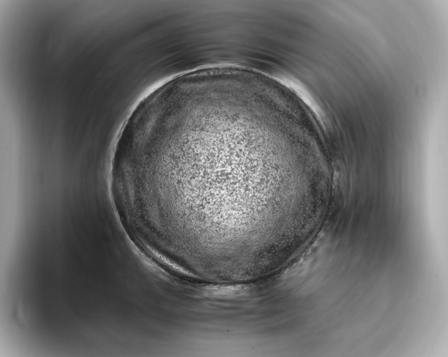 X0000093431143200710261014