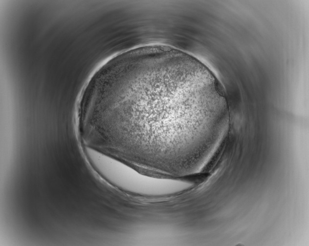 X0000093431151200710261014