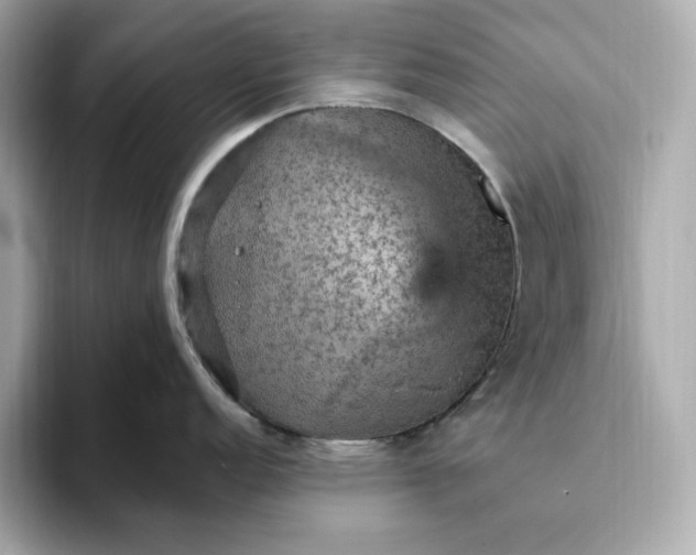 X0000093431152200710261014