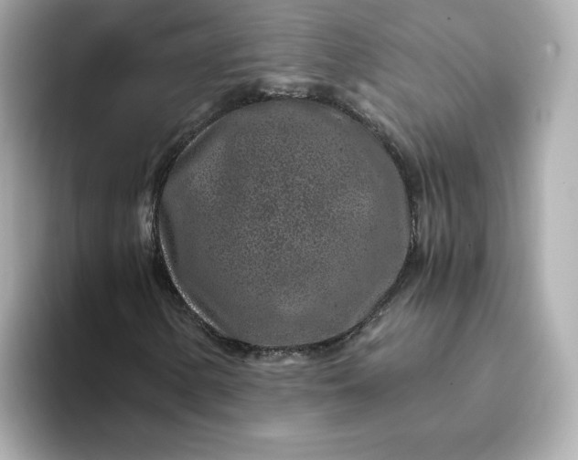 X0000093431154200710261014