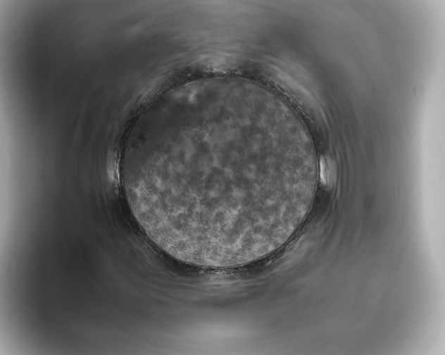 X0000093431155200710261014