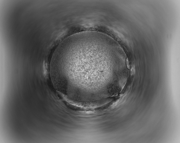 X0000093431156200710261014