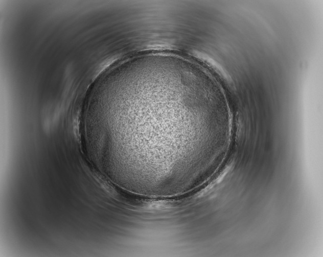 X0000093431162200710261013